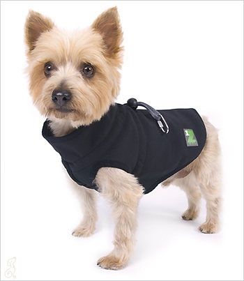 Dog Coats with Harness Built In 