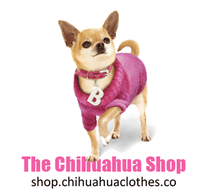chihuahua designer clothes